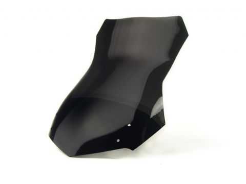 Ветровое стекло LOSTER BMW F 650 GS 04-07