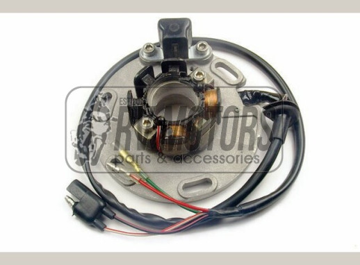 Генератор SUZUKI RM 125/250 &#39;94-&#39;96 ELECTREX ST2246