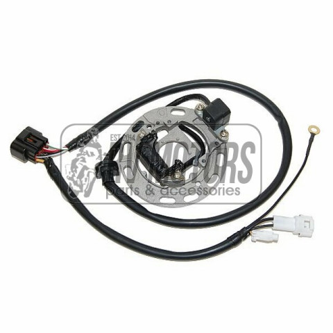 Генератор KAWASAKI KX 85/100 '06-'11  ELECTROSPORT ESC1370