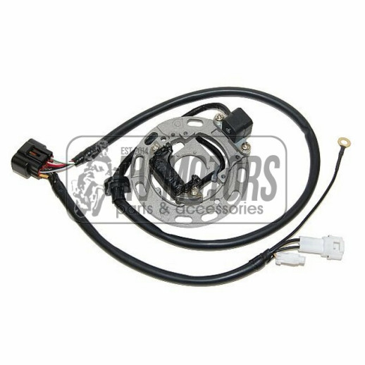 Генератор KAWASAKI KX 85/100 &#39;06-&#39;11 ELECTROSPORT ESC1370