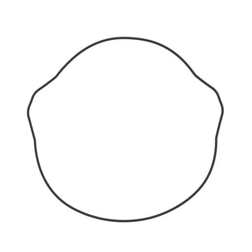 Прокладка кришки зчеплення HONDA XR 400R 96-04, TRX 400EX '99-13 (ORING) WINDEROSA 817200