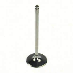 Клапан впускной KTM250SX-F '06-'09 титан WISECO WVIT013