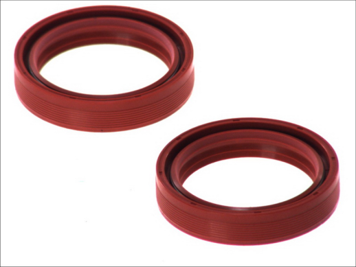 Сальники вилки BMW F, K, R; BUELL XB9S; DUCATI MONSTER 250-1500 1983-4 RIDE AB55-119