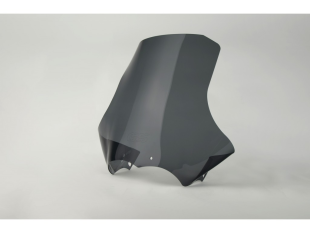 Ветровое стекло LOSTER BMW R 1200 GS 04-12