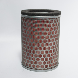 Воздушный фильтр HONDA CB 600F HORNET '98-06, CBF 500/600 '04-08, BIKETEC (OEM 17230-KEA-000, 17230-KEA-010, 17230-MBZ-K00) (HFA1602) BT132585