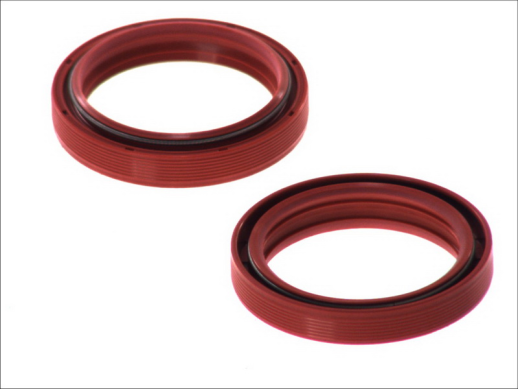 Сальники вилки HONDA FSC, VT, XR; KAWASAKI EN, ER-6N, EX, KDX 125-1700 1979-4 RIDE AB55-117