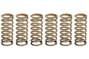 Пружины сцепления APRILIA V4 1100 RR TUONO/TUONO FACTORY '15- TRW LUCAS MEF339-6