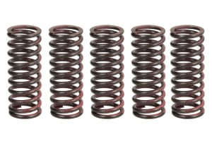 Пружины сцепления KAWASAKI KX 125 '03-'08, KX 250F '04- TRW LUCAS MEF312-5