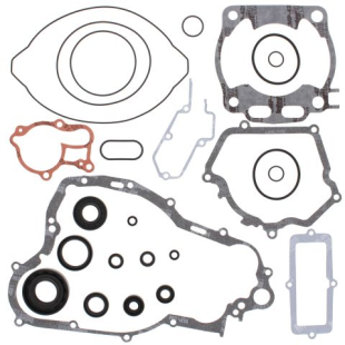 Полный комплект прокладок YAMAHA YZ250 01  WINDEROSA 811669