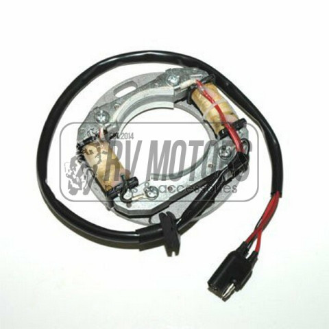 Генератор SUZUKI RM 80/85 '82-'11, 125 '81-'86, RM250 76-81, RM400/465/500 78-84 ELECTROSPORT ESC8081