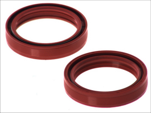 Сальники вилки BETA RR; BMW F, G, HP2; CAGIVA CANYON, ELEFANT, GRAN CANYON, NAVIGATOR 125-1731 4 RIDE AB55-135