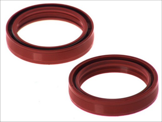 Сальники вилки BETA RR; BMW F, G, HP2; CAGIVA CANYON, ELEFANT, GRAN CANYON, NAVIGATOR 125-1731 4 RIDE AB55-135