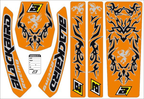 Комплект наклеек BLACKBIRD GRYPHON E5511