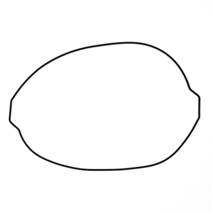 Прокладка крышки сцепления KTM SX-F/EXC-F 350 11-16, SX-F/EXC-F 250 '13-16, HUSQVARNA FE 250/350 '14-16, FC 350 '14-15 PROX 19.G6351