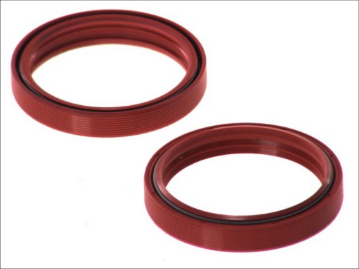 Сальники вилки BETA RR, RS; GAS GAS EC; HONDA CRF 125-1290 2002-4 RIDE AB55-132