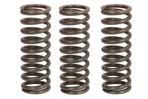 Пружины сцепления HONDA MSX 125 '17- TRW LUCAS MEF347-3