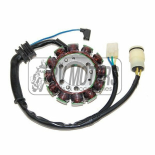 Генератор HONDA TRX 300FW Fourtrax (88-00) ELECTROSPORT ESG482