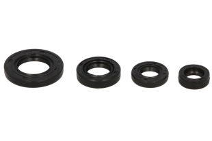 Комплект сальников двигателя YAMAHA TTR90 00-08 WINDEROSA 822272