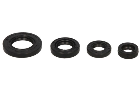 Комплект сальников двигателя YAMAHA TTR90 00-08 WINDEROSA 822272