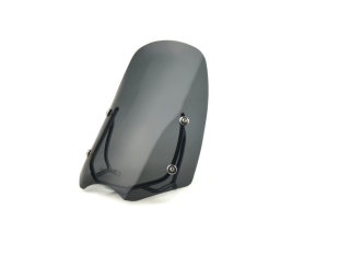 Ветровое стекло LOSTER BMW R 850 R 97-99