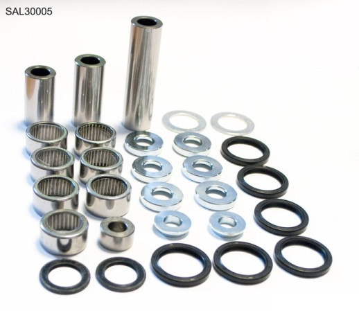 Ремкомплект прогресії BEARING WORX SAL30005 (27-1172)