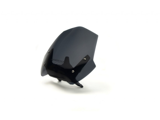 Вітрове скло LOSTER BMW R 1200 R 2015-