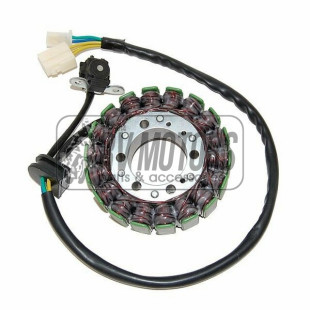 Генератор SUZUKI GSX 1300R HAYABUSA (99-15), GSX 1300 B-KING (08-09)  ELECTROSPORT ESG748