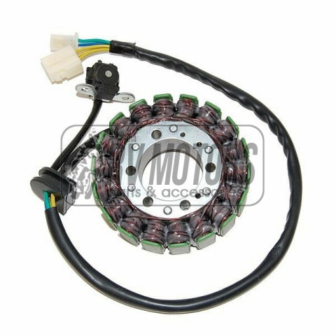 Генератор SUZUKI GSX 1300R HAYABUSA (99-15), GSX 1300 B-KING (08-09)  ELECTROSPORT ESG748