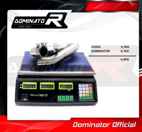 Выхлопной коллектор DOMINATOR HONDA CB 600F HORNET PC41 DECAT 2007 - 2013