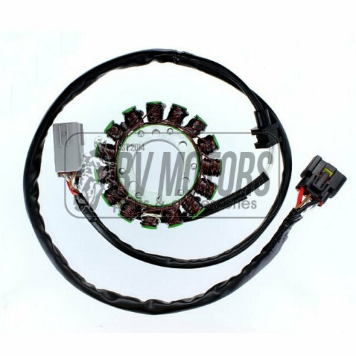 Генератор KAWASAKI VN 900 VULCAN (06-13) ELECTROSPORT ESG549