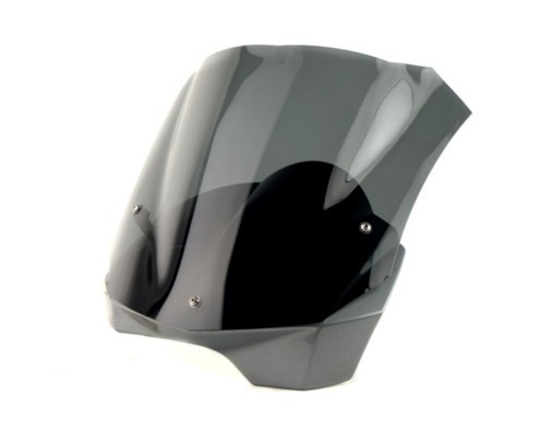 Вітрове скло LOSTER BMW F 800 R 09-14