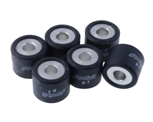 Ролики вариатора POLINI 040-95-090 20x17/9г 6шт