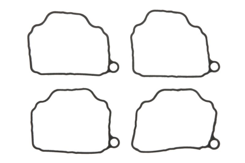 Прокладка поплавковой камеры (4шт) TOURMAX FBG-229
