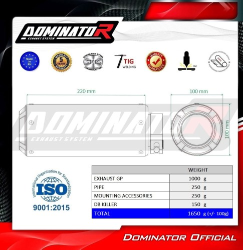 Прямоток Husqvarna Svartpilen 401 2020 - 2023 DOMINATOR GP 