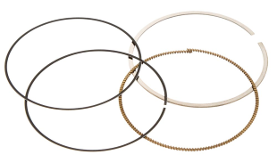 Поршневые кольца VERTEX 590296000003 (96,00mm)