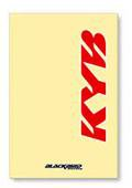 Наклейки на защиту вилки BLACKBIRD KAYABA E5045K