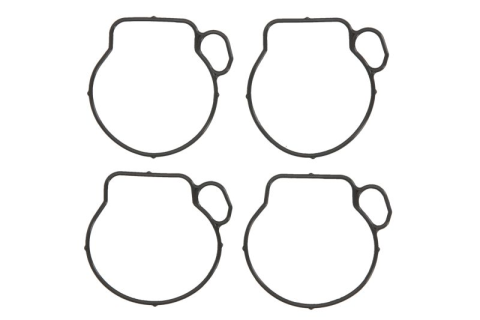 Прокладка поплавковой камеры (4шт) TOURMAX FBG-231