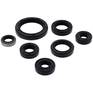 Комплект сальников двигателя KAWASAKI KFX250 MOJAVE 87-04 WINDEROSA 822323