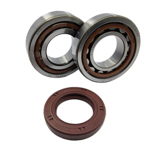 Комплект подшипников коленвала KTM SXF 250 '06-'12, EXCF 250 '06-'11 EXC400 '00-'01 BEARING WORX CBK60010-B