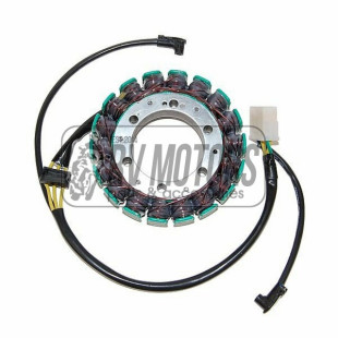 Генератор KAWASAKI ZX-9R NINJA (00-06) ELECTROSPORT ESG903