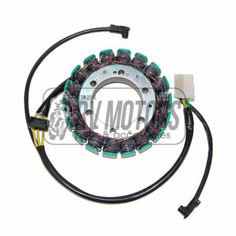 Генератор KAWASAKI ZX-9R NINJA (00-06) ELECTROSPORT ESG903