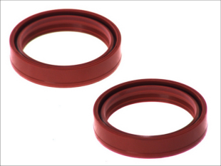 Сальники вилки APRILIA NA, RSV, SL, SMV, TUONO; BMW F 125-1731 1982- 4 RIDE AB55-120