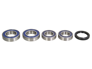 Подшипники оси колеса DUCATI GT, MONSTER, MULTISTRADA, PAUL SMART, SPORT, ST2, ST3, ST4, ST4S 620-1000 1998- 4 RIDE AB25-1668