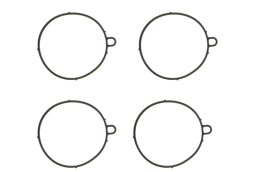 Прокладка камери поплавця (4шт) TOURMAX FBG-138