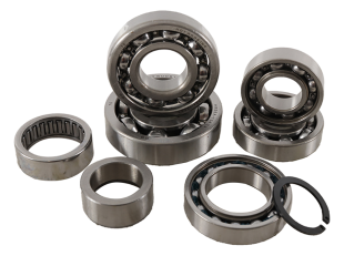 Ремкомплект КПП SUZUKI RM 1250 01-03 HOT RODS TBK0113