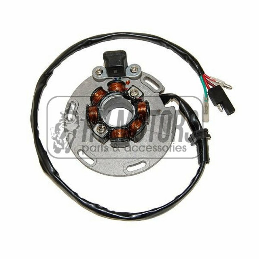 Генератор SUZUKI RM 125 &#39;87-&#39;91, 250 &#39;87-&#39;93 ELECTROSPORT ESC452	