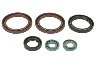 Комплект сальников двигателя KTM SX 450 ATV 09-10, SX 505 ATV 09-10 WINDEROSA 822342