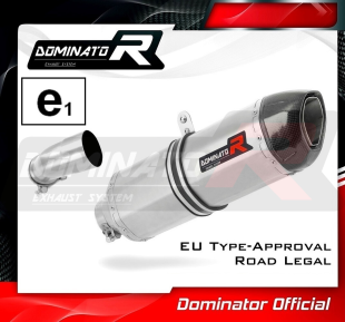Прямоток DOMINATOR BMW R1200R HP1 2010 - 2014
