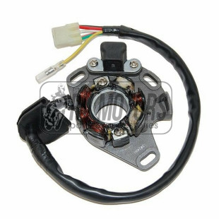 Генератор SUZUKI RM 250 (01-08)  ELECTROSPORT ESL480