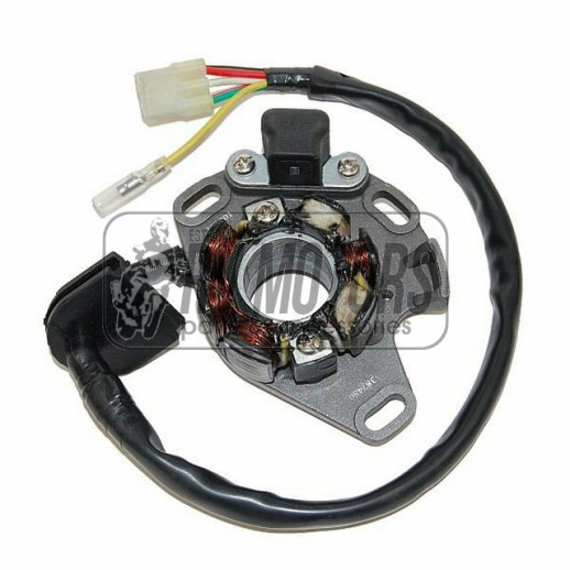 Генератор SUZUKI RM 250 (01-08) ELECTROSPORT ESL480